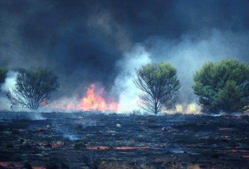 aaeaaqaaaaaaaalsaaaajdu0ogu2yjc5ltu2njktngi5yy1iytdhltm5nzhhowu4mme5yw